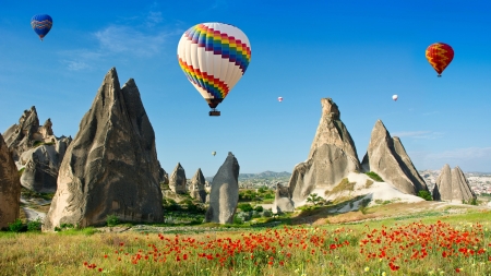 Ballooning Over Turkey's Cappadocia - flowers, poppy, turkey, nature, balloons