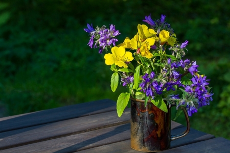 Still Life - purple, still life, yellow, flower