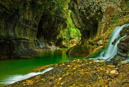 Forest Waterfall - forest, water, nature, waterfall