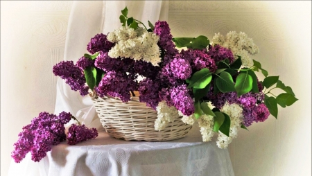 Basket - white, purple, basket, flower