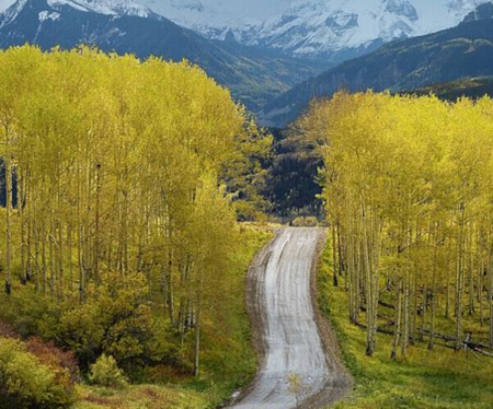 Fall Colors in Southwest Colorado - autumn, fall, trees, mountains, road, naature