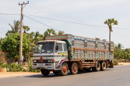 hyundai truck - truck, cambodia, street, hyundai