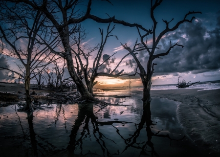 Beach - nature, tree, sky, Beach