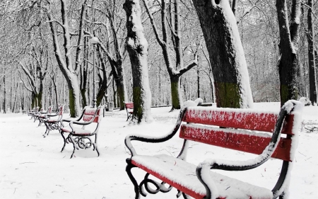 Benches in Snowy Winter - winter, benches, snowy, in