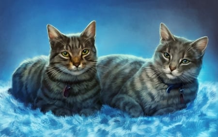 Cookie and Dave - art, couple, cat, luminos, blue, lhuin, fantasy, pisica