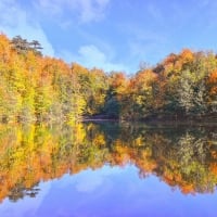 Fall Reflection