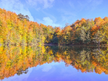 Fall Reflection - nature, autumn, lake, trees, reflection, forest