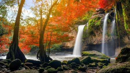 Autumn Waterfalls - Autumn, waterfalls, trees, branches, water, Fall, rocks, leaves