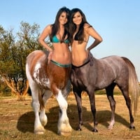 Cowgirl Fantasy . .