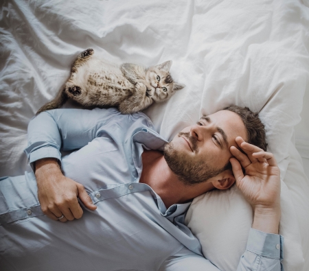 Relaxing - bed, cat, man, animal, pisica, relax, kitten