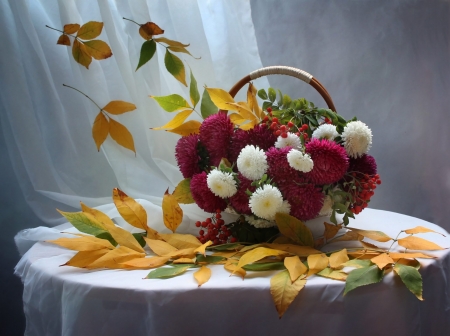 Still Life - Autumn, Leaves, Still Life, Flowers