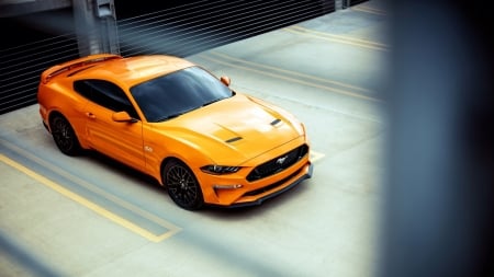 Ford Mustang GT - Car, Ford, GT, Mustang