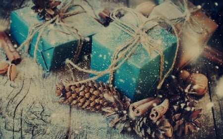 Gift - Holiday, Gift, pine, present