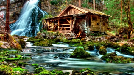 Forest  Watermill - river, nature, autumn, falls, moss, forest