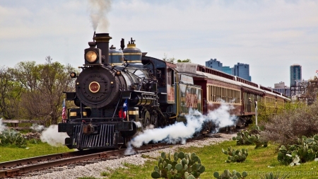 steam train - train, building, steam, cactus, grass