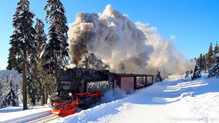 steam train - train, tree, steam, snow