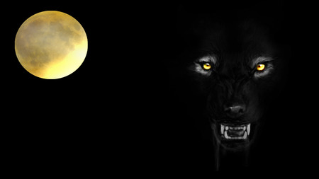 Moonwolf - werewolf, moon, black, wolf, horror, night, firebat, scary