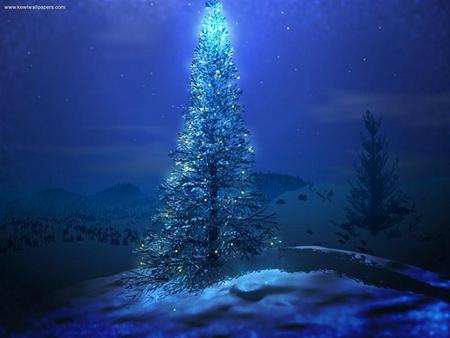 3D Christmas tree - abstract, landscape, 3d, fantasy