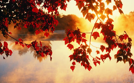 Autumn Wallpaper - leafs, beautiful, autumn, lake, sun, leaves