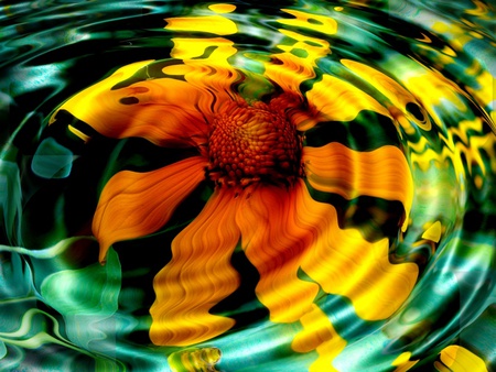 Yellow Reflection - yellow, reflection, ripples, water, flower