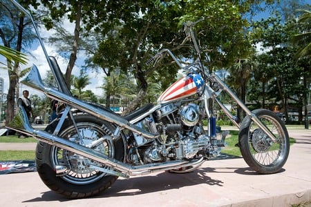 Homage to the Almighty Panhead.............