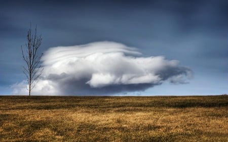 Cloudscape  - sky, nature, clouds