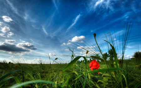 wonderful landscape - sky, landscapes