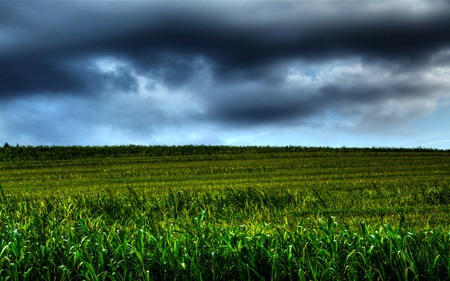 wonderful landscape - sky, landscape