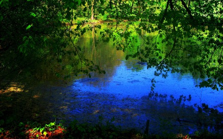 Beautiful Lake  - lake, landscape