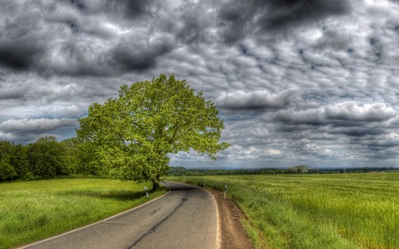 Cloudscape  - sky, nature, clouds