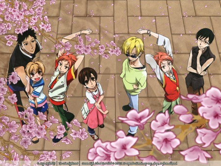 Ouran High School Host Club - host, school, high, ouran, club