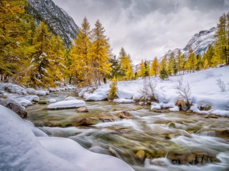 Mountain River In Winter - river, trees, nature, snow, stream, mountain