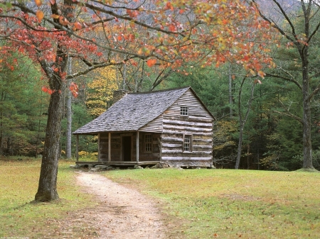 Cabin in the forest - cabin, the, forest, in