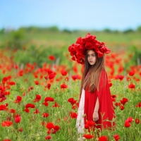 Child in poppy field