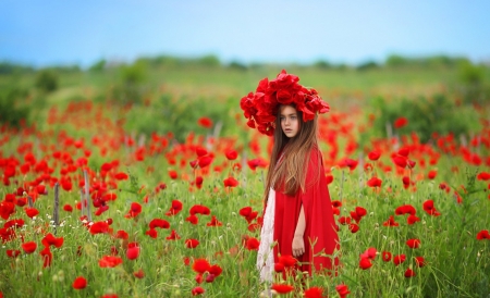 Child in poppy field - nature, child, field, poppy