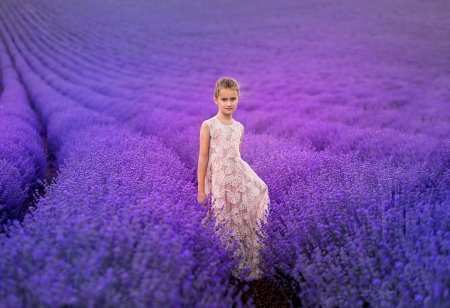 Child in Lavender field - Child, field, lavender, nature