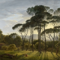 Italian landscape with umbrella pine trees