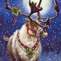 Reindeer