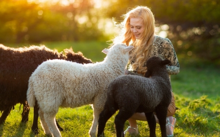 All cuties - nature, sheep, girl, animals