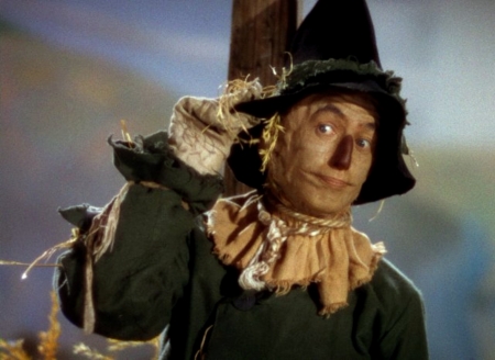 Scarecrow In Field - Field, Movie, Wizard Of Oz, Scarecrow, Hat