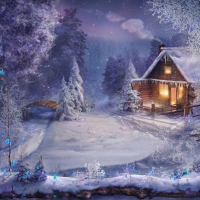 WINTER WONDERLAND