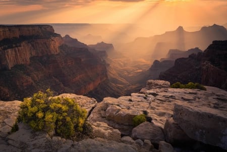 Grand Canyon - cool, fun, desert, grand canyon, nature, mountain