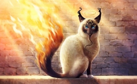 Holy Birman - animal, fantasy, cat, cg