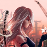NieR Automata