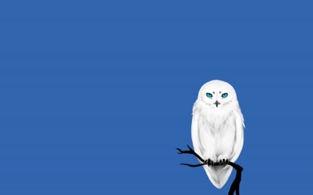 Snowy owl - bird, branch, blue, snowy, bufnita, minimalistic, owl, white, pasare