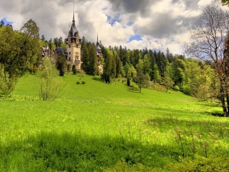 Peles Castle,Romania - nature, trees, forest, clouds, castle, green, grass