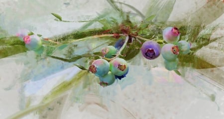 Berries - berry, fantasy, yizheng ke, fruit, luminos, art, green