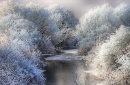 Stream in winter