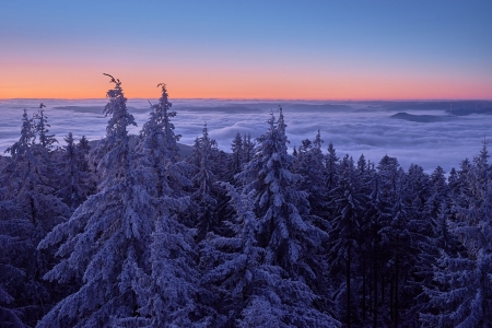 Winter Sunrise - winter, nature, sunrise, snow