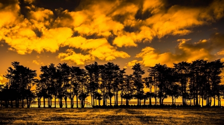 Sunset - cloud, sky, tree, sunset, nature